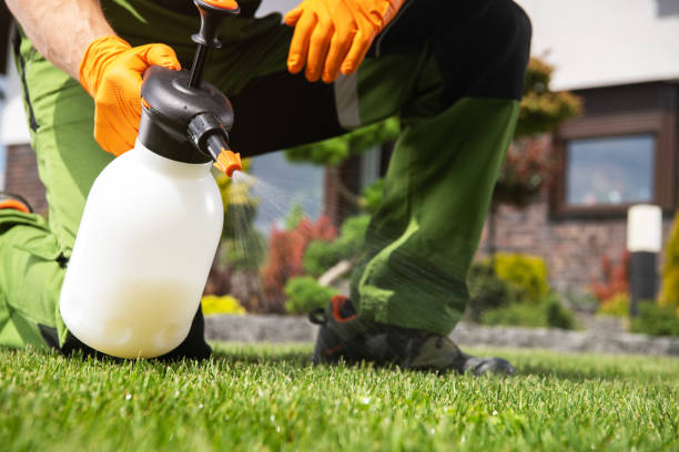 Best Residential Pest Control  in Dahlgren, VA