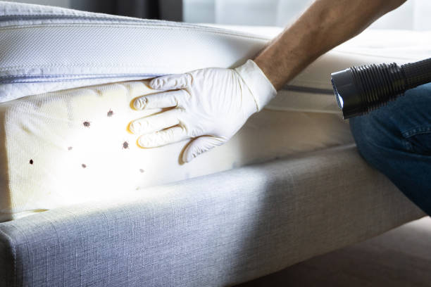 Pest Control Cost in Dahlgren, VA